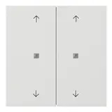 GIRA KNX-Tastsensor Flächenschalter 