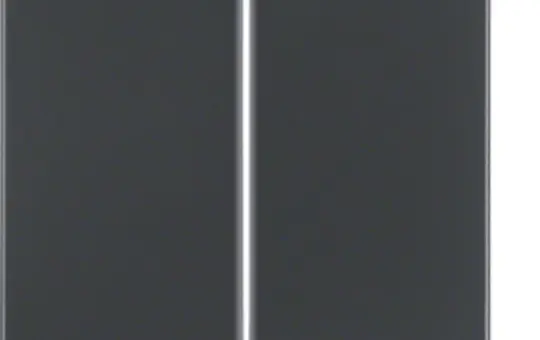 BERKER 85648126 KNX-RF-Taste quicklink  Q.1/Q.3 2-fach | anthrazit matt