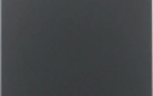 BERKER 75940485 Zentralplatte für Sensoreinsatz anthrazit matt