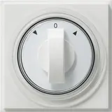 GIRA 066666 Abdeckung Zeitschalter TX_44 Pfeile | reinweiß