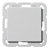 GIRA 2836015 Wippschalter System 55 Ausschalter, 2-polig, GB | grau matt