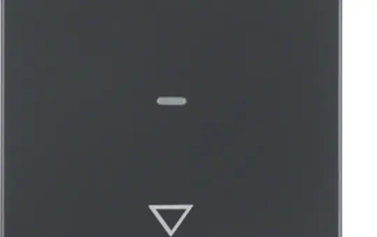 BERKER 85241126 Jalousie-Taste Q.1/Q.3 1-fach, Pfeile | anthrazit samt lackiert