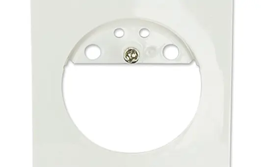 B.E.G. 39222 LUXOMAT Zentralplatte Indoor 180 für Jung und Gira | reinweiß glänzend