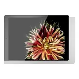 VIVEROO 510120 iPad-Halterung free USB-A | supersilver | 7,9 Zoll