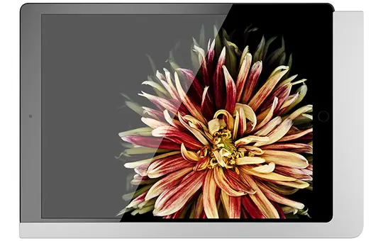 VIVEROO 510120 iPad-Halterung free USB-A | supersilver | 7,9 Zoll