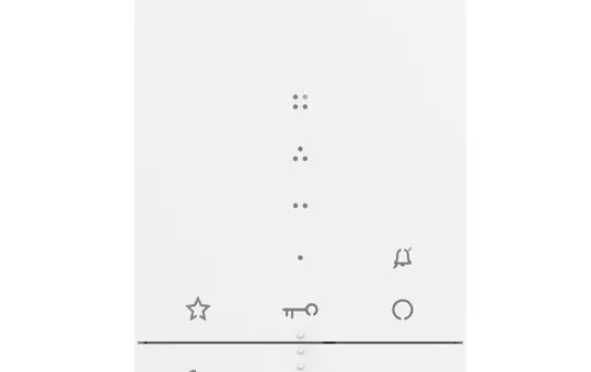 LEGRAND 344282 Audio-Hausstation Classe 100 Audio Hausstation