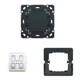 BUSCH-JAEGER 6716UBT Wandsender FoH Future Standard