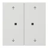 GIRA 5386112 Elektronik-Kontrollwippe System Fläche 2-fach, Pfeile | reinweiß glänzend