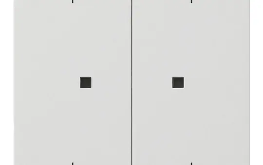 GIRA 5386112 Elektronik-Kontrollwippe System Fläche 2-fach, Pfeile | reinweiß glänzend