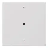 GIRA 5388112 Elektronik-Kontrollwippe System Fläche 1-fach, Pfeile | reinweiß glänzend