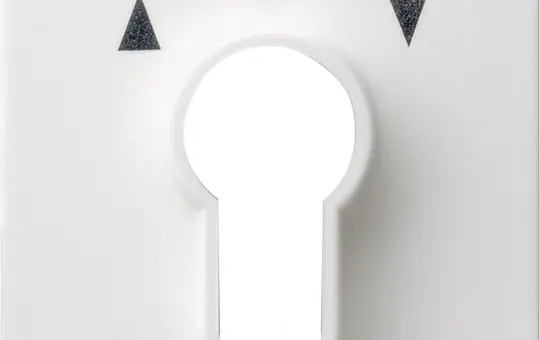 GIRA 66427 Schlüsselschalter-Abdeckung System 55 Pfeile | reinweiß seidenmatt