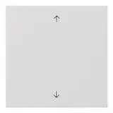 GIRA 5389112 beschr. Abdeckung System 3000 System Fläche 1-fach, Pfeilsymbole | reinweiß glänzend