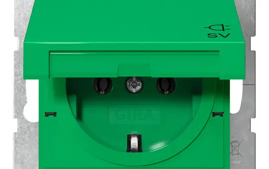GIRA 4454107 EDV-Steckdose System 55 SV, Klappdeckel | grün