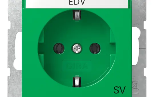 GIRA 4457107 beschr. EDV-Steckdose System 55 SV | grün