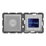 BERKER 29806084 UP-Radio-Set Q.1/Q.3 DAB+, Mono | alu samt