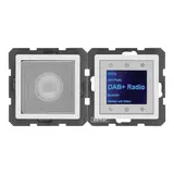BERKER 29806089 UP-Radio-Set Q.1/Q.3 DAB+, Mono | polarweiß samt
