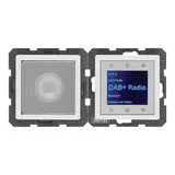 BERKER 30806089 UP-Radio-Set Q.1/Q.3 DAB+, Mono, Bluetooth | polarweiß samt
