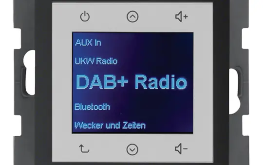 BERKER 29846086 UP-Radio Touch Q.1/Q.3 DAB+ | anthrazit samt