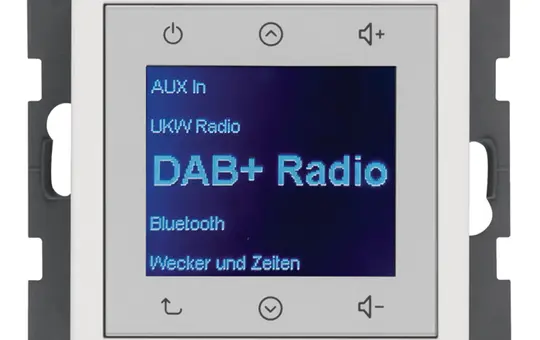 BERKER 29846089 UP-Radio Touch Q.1/Q.3 DAB+ | polarweiß samt