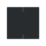 BUSCH-JAEGER 1785-45M Wippe art linear 2-fach | schwarz matt