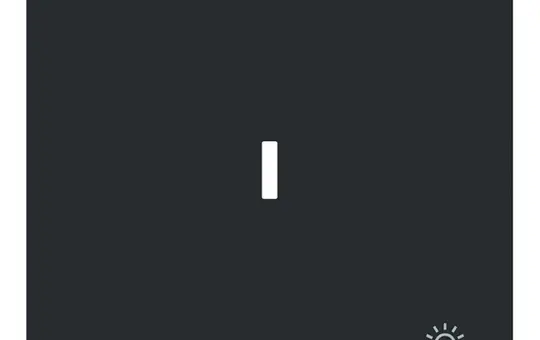 BUSCH-JAEGER 1789 LI-45M beschr. Kontrollwippe art linear 1-fach, Licht | schwarz matt