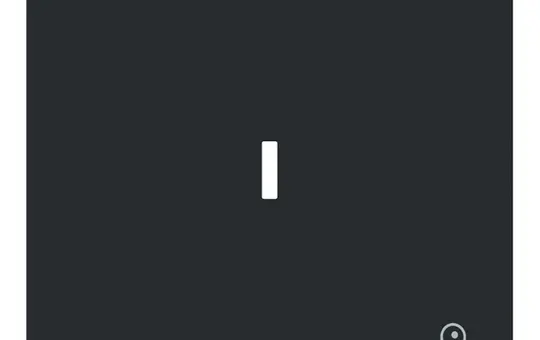 BUSCH-JAEGER 1789 TR-45M beschr. Kontrollwippe art linear 1-fach, Schlüssel | schwarz matt