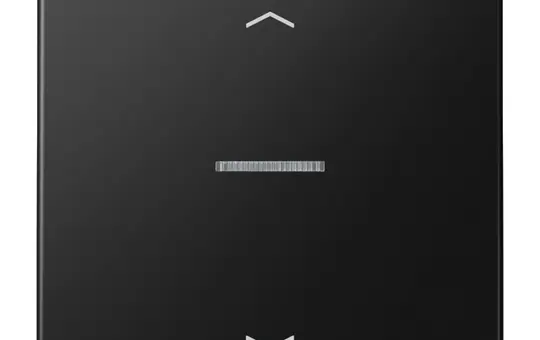 JUNG BTLS17101PSWM beschr. Tastsensor JUNG HOME Serie LS 1-fach, Pfeile | graphitschwarz matt