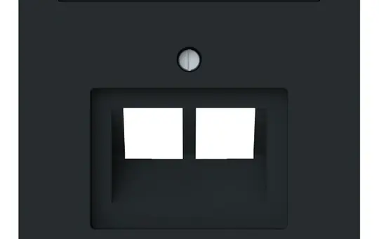 BUSCH-JAEGER 1803-02-45M Netzwerkabdeckung art linear 2-fach | schwarz matt