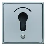 BERKER Schlüsseltaster Up Druckguss IP44 