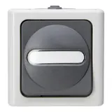 KOPP 560656006 Aufputz-Wippschalter BLUE ELECTRIC Wechselschalter | grau
