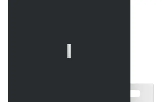 BUSCH-JAEGER 1789 NWD-45M Kontrollwippe art linear 1-fach, IP44 | schwarz matt