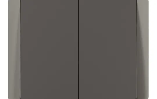 LEGRAND 069805L Einsatz Wippschalter Plexo New Serienschalter | anthrazit