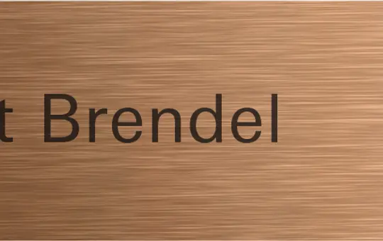 GIRA 5549921 System 106 Ruftaste Standard