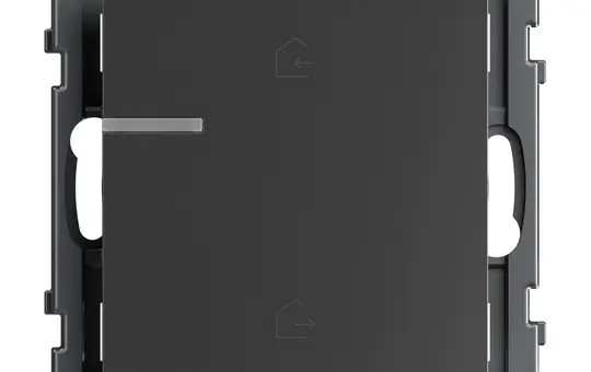 LEGRAND 765936 beschr. Tastsensor SEANO with Netatmo 1-fach, Masterswitch | anthrazit