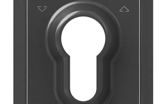 LEGRAND 765434 Schlüsselschalter-Abdeckung SEANO mit DIN-Halbzylinder | anthrazit lackiert