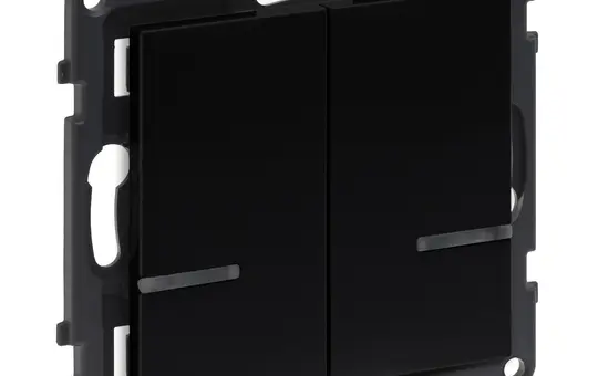 LEGRAND 765834 Tastsensor SEANO with Netatmo 2-fach | schwarz