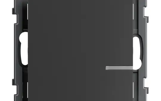 LEGRAND 765933 Tastsensor SEANO with Netatmo 1-fach | anthrazit