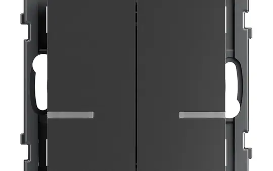 LEGRAND 765934 Tastsensor SEANO with Netatmo 2-fach | anthrazit