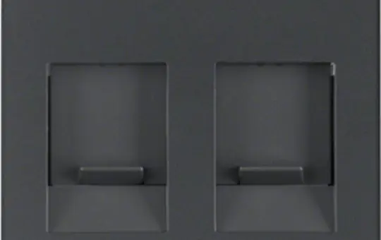 BERKER 11816086 UAE-Zentralstück Q.1/Q.3 2-fach, Schriftfeld | anthrazit samt