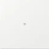 GIRA Kontrollwippe System Fläche neu 