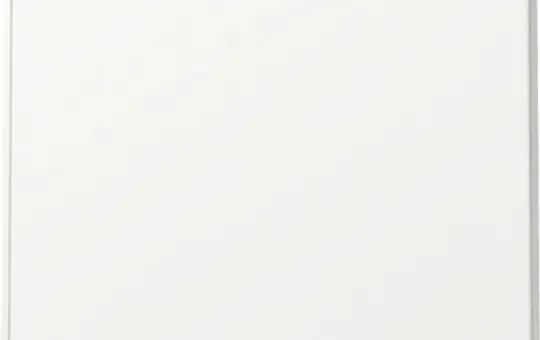 GIRA Wippe TX_44 neu 