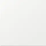 GIRA Wippe System Fläche neu 