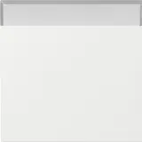 GIRA Wippe System Fläche neu 