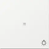 GIRA beschr. Kontrollwippe System 55 neu 