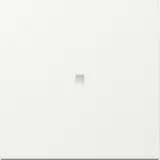 GIRA Kontrollwippe System 55 neu 