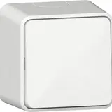 GIRA 310613 Wippschalter Aufputz Wechselschalter, mit Montageplatte | reinweiß