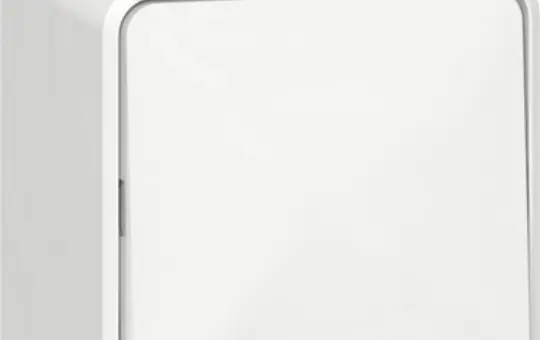 GIRA 310613 Wippschalter Aufputz Wechselschalter, mit Montageplatte | reinweiß