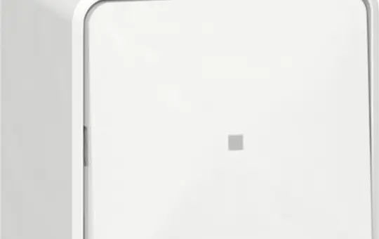 GIRA 311613 Wippschalter Aufputz Wechselschalter | reinweiß