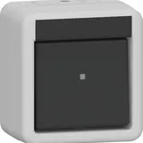 GIRA 310230 Wippschalter Aufputz IP44 Ausschalter, 2-polig | grau