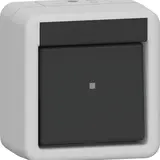 GIRA 310630 Wippschalter Aufputz IP44 Wechselschalter | grau